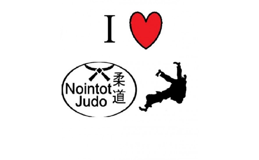 Logo du NOINTOT JUDO
